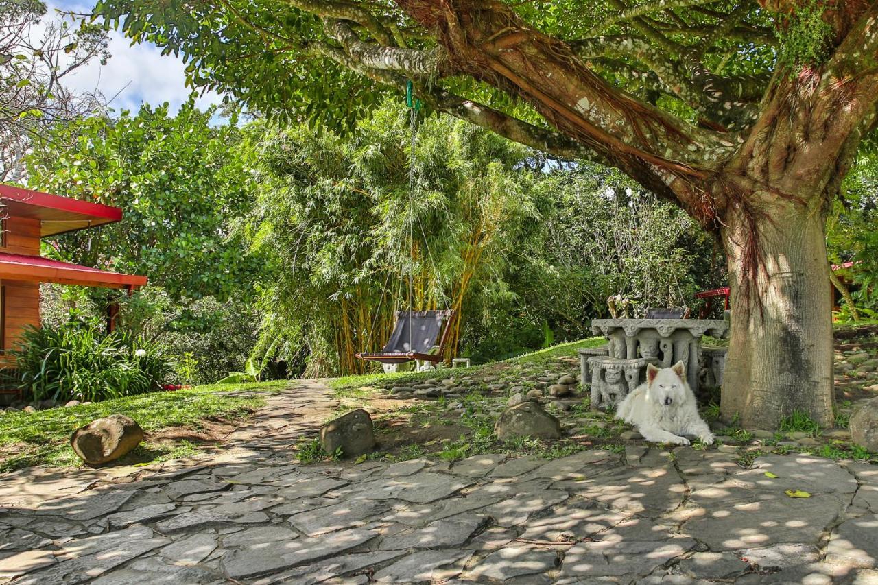 Arco Iris Lodge Monteverde Dış mekan fotoğraf